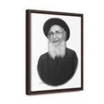 41113 265 - Gedolim Pictures