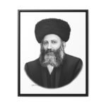 41146 270 - Gedolim Pictures