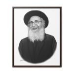 41149 255 - Gedolim Pictures