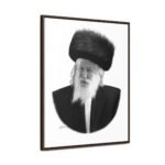 41194 26 - Gedolim Pictures