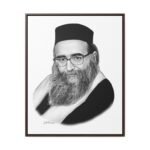 41194 - Gedolim Pictures