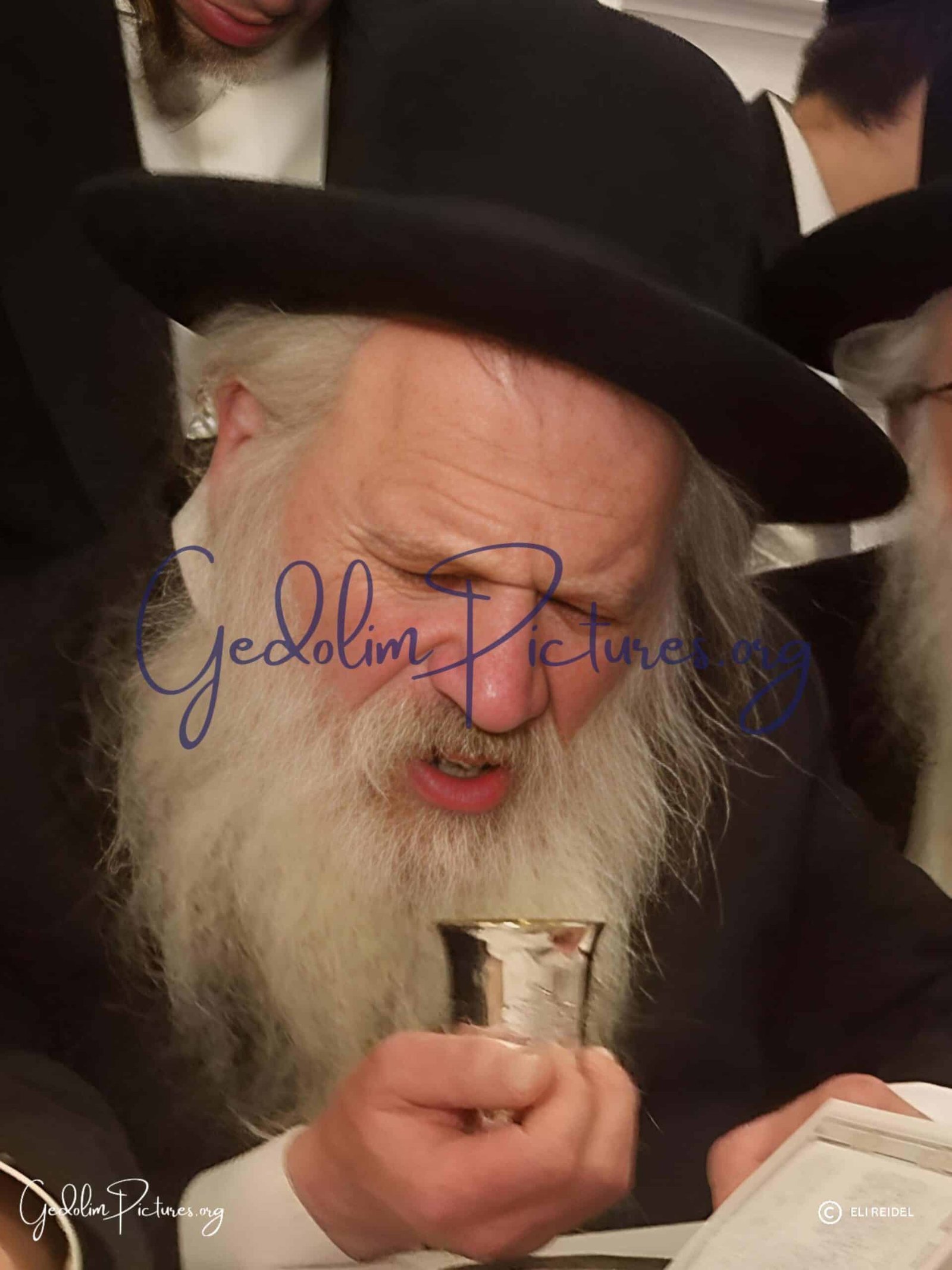 Reb Dovid Schustal scaled - Gedolim Pictures