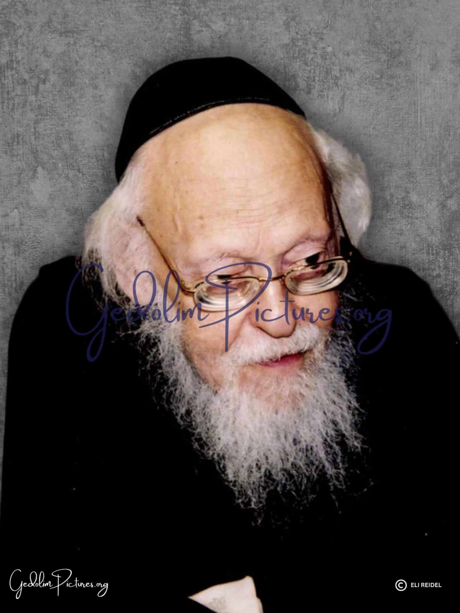 Reb Elyashiv ZTL scaled - Gedolim Pictures