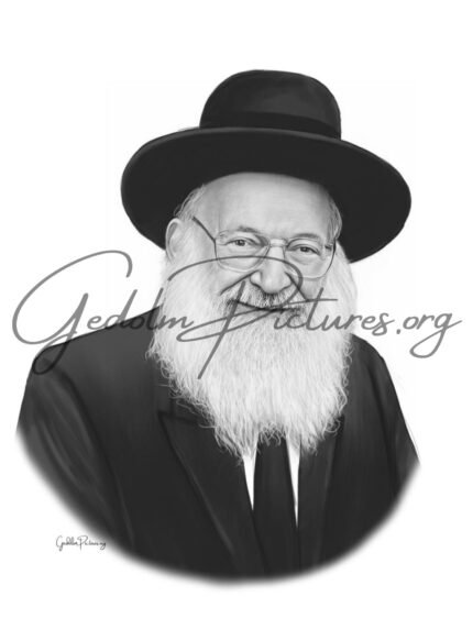 Reb Mattisyahu Solomon - gedolim pictures