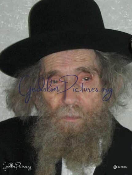 Reb Aron Leib Shteinman Ztl 2 - Gedolim Pictures