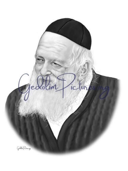 Reb Chaim Kanievsky ZTL