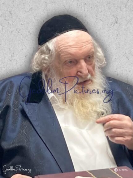 reb moshe shterbach - Gedolim Pictures