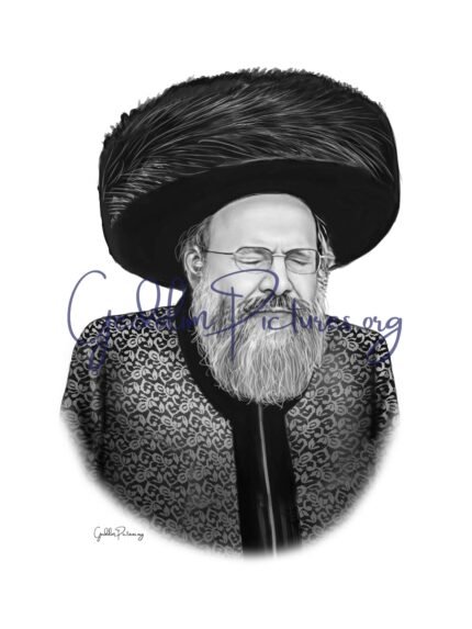 the bovov 45 rebbe