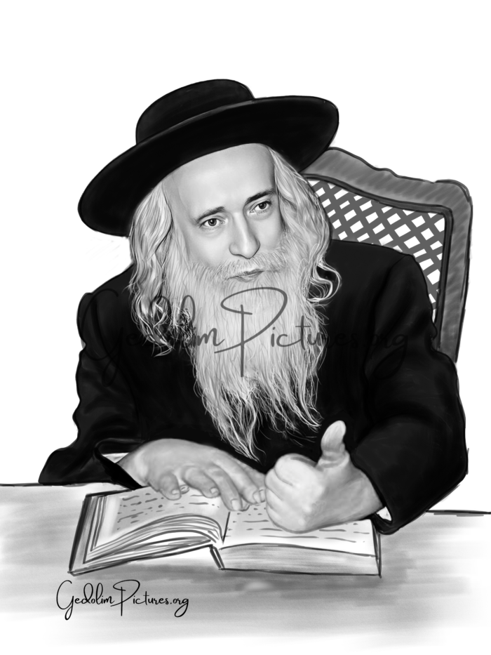 The Klausenburger Rebbe - Harav Yekusiel Yehudah Halberstam Zt&Amp;Amp;Quot;L - Premium Gedolim Picture For Download