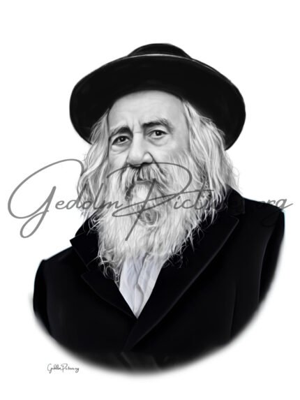 The Steipler Ztl Copy 1 - Gedolim Pictures